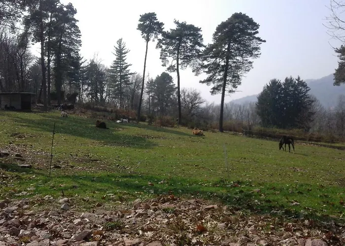 Agriturismo Villa Brugolta