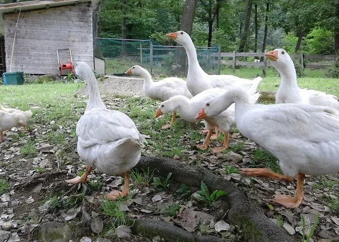 Agriturismo Villa Brugolta
