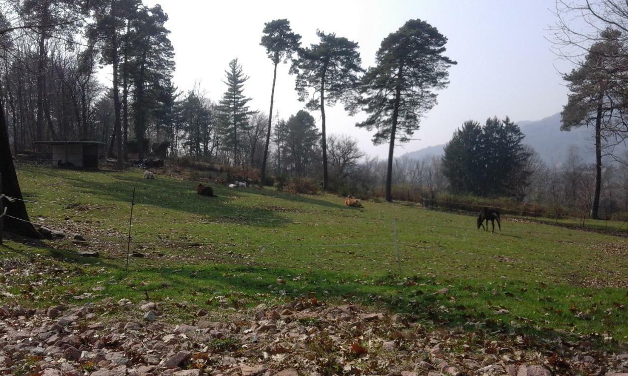 Alojamento de Turismo Rural Brugolta Ponte Tresa