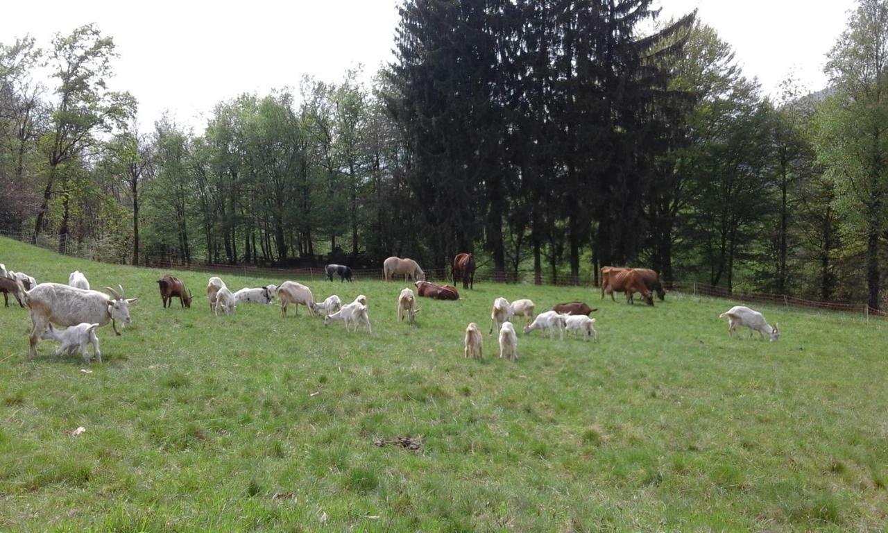 Alojamento de Turismo Rural Brugolta *